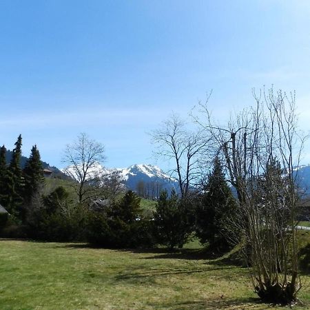 Charly Studio In Gstaad Exterior photo